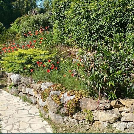 Stunning Cottage With Pool In Provence France Lorgues Exterior foto
